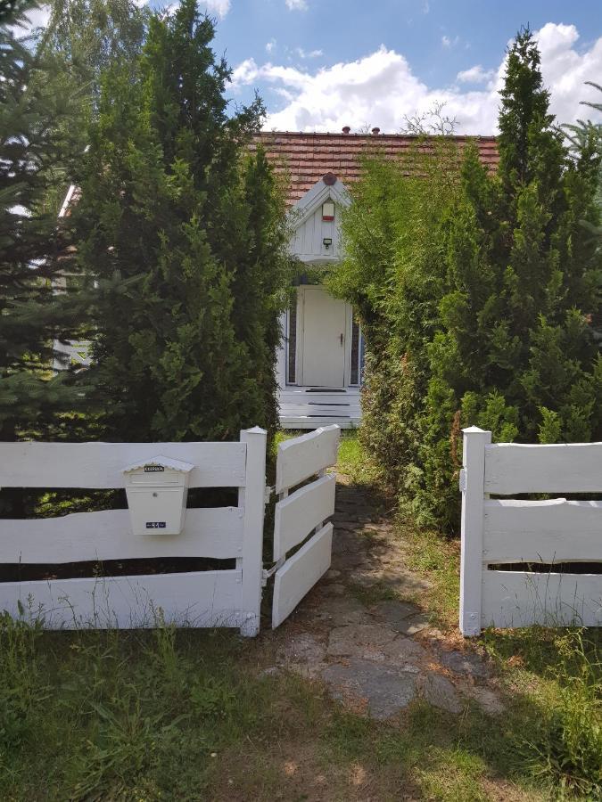 Holiday home Blekitny - - Bory Tucholskie *