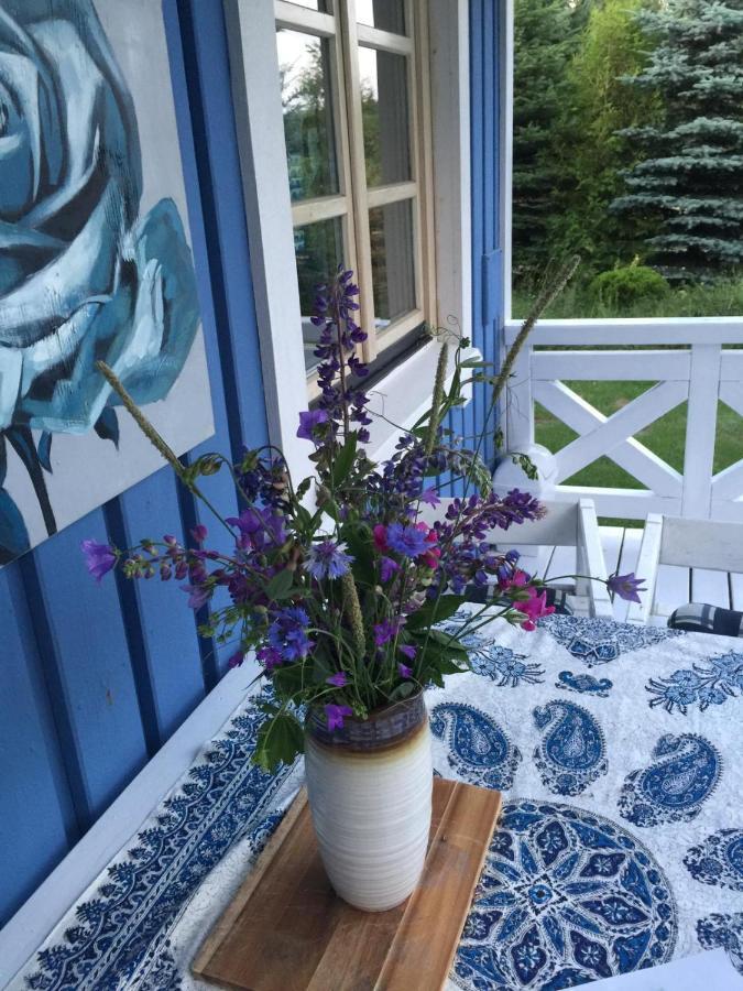 Holiday home Blekitny - - Bory Tucholskie Tlen